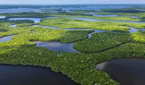 Green Colour Prints: Aerial view over subtropical mangrove wetlands of the Everglades National Park. Florida