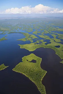 Aerial view over subtropical mangrove wetlands of the Everglades National Park. Florida