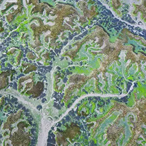 Tide Out Prints: Aerial view of tidal marshland at low tide