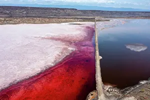 Aerial view of track running through middle of Lake Magadi, with pink Halobacteria in water, Great Rift Valley, Kenya