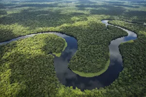 Aerial view of tropical rainforest and meandering river, Salonga National Park