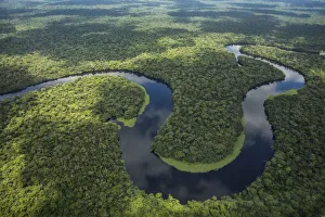 Flowing Water Collection: Aerial view of tropical rainforest and meandering river, Salonga National Park