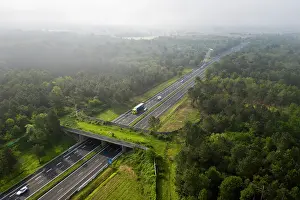 Cervus Prints: Aerial view of a wildlife crossing over the A10 highway