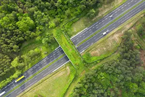 Charente Maritime Prints: Aerial view of a wildlife crossing over the A10 highway
