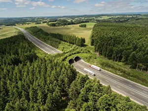 Massif Central Prints: Aerial view of a wildlife crossing over the A89 highway
