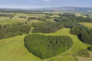 Aerial view of woodland, Argaty Red Kites farm, Stirling, Scotland, UK. July, 2021 Aerial view of woodland, Argaty Red Kites farm, Stirling, Scotland, UK. July, 2021