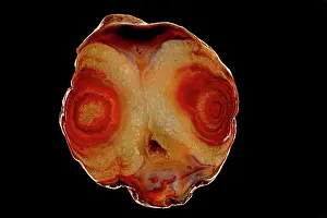 Somerset Prints: Agate rock, chalcedony and silicon dioxide