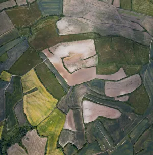 Agricultural landscape, mosaic of fields, aerial view. Cuestahedo, Merindad de Montija Agricultural landscape, mosaic of fields, aerial view. Cuestahedo, Merindad de Montija