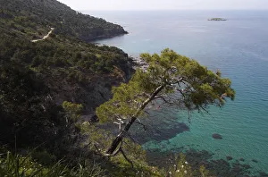 Images Dated 2nd April 2009: Akamas Peninsula coastline, Cyprus, May 2009