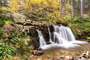 Allt Fhearnagan waterfall in autumnal woodland, Glenfeshie, Cairngorms National Park, Scotland, UK. October, 2019 Allt Fhearnagan waterfall in autumnal woodland, Glenfeshie, Cairngorms National Park, Scotland, UK. October, 2019