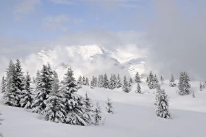 Images Dated 15th February 2013: Alpine landscape after fresh snow, Hauteluce, Haute-Savoie, France, February 2013
