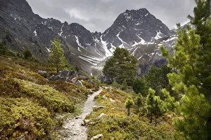 Footpath Prints: Alpine pine forest path leading to the Feichtener Karlspitze (2916 metres), Austrian Alps
