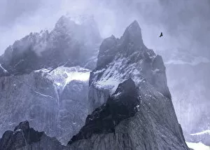 High Altitude Collection: Andean condor (Vultur gryphus) in flight over mountain peaks, Torres Del Paine National Park