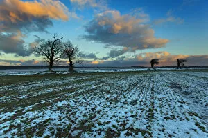 Arable fields in snow, near Southrepps village, North Norfolk, January