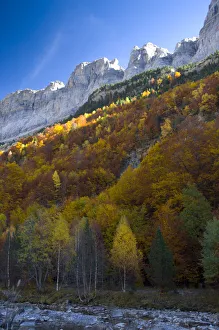 Images Dated 2007 October: 20 Oct 2007