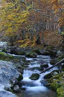 Images Dated 16th March 2010: Arazas river in Ordesa y Monte Perdido National Park, Pyrenees, Aragon, Spain