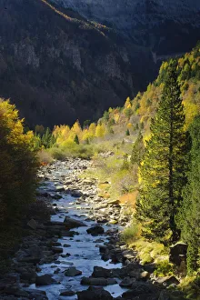 Arazas river in Ordesa y Monte Perdido National Park, Pyrenees, Aragon, Spain Arazas river in Ordesa y Monte Perdido National Park, Pyrenees, Aragon, Spain