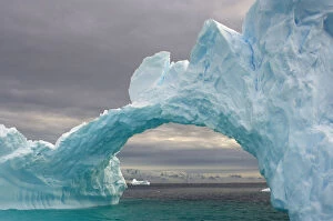 Southern Ocean Gallery: Arched iceberg floating off the western Antarctic peninsula, Southern Ocean