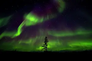 Natural Light Prints: Aurora borealis lighting up the night sky above the tundra