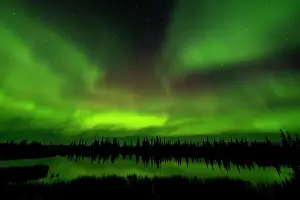 Natural Light Prints: Aurora borealis lighting up the night sky above the tundra