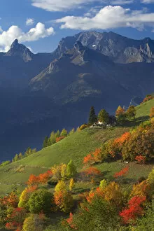 Autumn Update Gallery: Autumn colours at Iserables above the Rhone Valley near Sion, la Valais, Switzerland