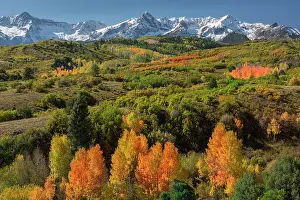 Autumn Prints: Autumn colours below the Sneffels Range in the Rocky Mountains