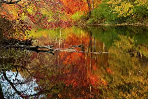 April 2023 Highlights Collection: Autumn foliage along the Willimantic River; Ellington, Connecticut, USA. October, 2020
