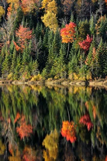 Autumn reflections on Modene Lake and forest. La Mauricie National Park, Quebec, Canada