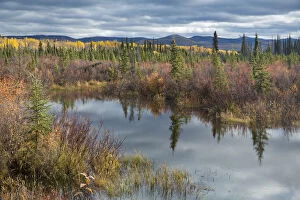 Autumn Gallery: Autumnal boreal forest with lake, Silver Trail, near Mayo, Yukon Territories, Canada