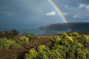 Somerset Prints: Autumnal landscape on Porlock Hill with Dunkerry Beacon beyond, Exmoor National Park