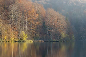 Autumnal reflections in the Upper Lakes, Plitvice Lakes National Park, Croatia. November 2015