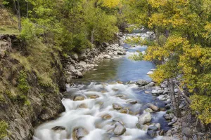 Images Dated 22nd July 2015: Autumnal trees on the shore of Noguera Pallaresa River in Alt Aneu Natural Park. Aneu Valley
