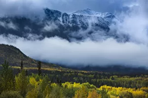 Autumnal woodland and Young Peak surrounded by clouds, British Columbia, Canada, September 2013