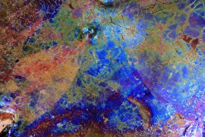 Bacteria (Leptothryx discophora) causing iridescent sheen on water surface with White willow leaf