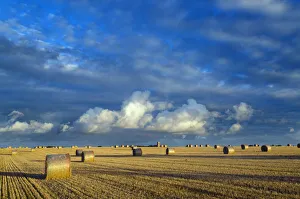 Horizon Prints: Bales of straw and stubble in field with St James Church in the background, Southrepps