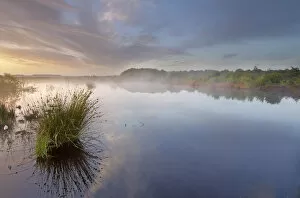 Images Dated 16th June 2011: Ballynahone Bog at dawn, County Antrim, Northern Ireland, UK, June 2011
