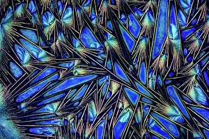 Crystals Prints: Barium Platinocyanide (Molecular Formula Ba[Pt(CN)4]