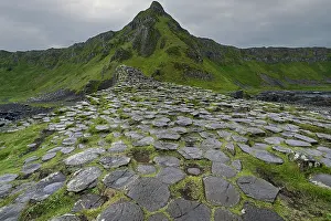 Antrim Prints: Basalt hexagonal rocks at the Giant's Causeway
