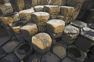 Pal Hermansen Prints: Basalt rocks, Giants Causeway, Unesco Heritage Site, Northern Ireland, June 2009