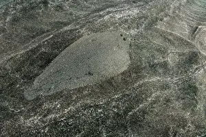 Flatfish Prints: Bastard sole (Microchirus azevia) camouflaged on seabed
