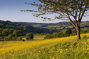 Baxters Fields in the Slad Valley, a controversial housing development site