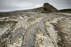Limestone Prints: Bedding planes and joint network in Jurassic age Blue Lias limestone and shale exposed