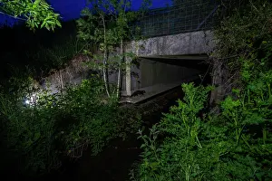 Stone Marten Prints: Beech marten (Martes foina) entering a wildlife underpass below the A87 highway and above the Natteries brook at night