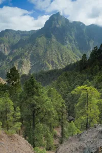 I Aki Relanz N Prints: Berjenado peak viewed from the Caldera, Caldera de Taburiente National Park, La Palma