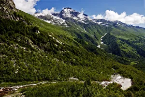Images Dated 2nd July 2008: Birch (Betula sp) forest and mountains with snow, Alibek vally near Dombay, Teberdinsky