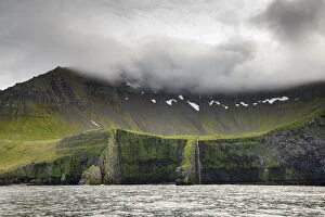 Bird nesting cliffs at Haeavikurbjarg, Hornvik, Hornstrandir, Iceland. July