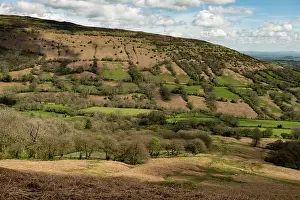 Hedge Prints: Black Hill / Cat's Back and the Olchon Valley viewed from the Black Mountains