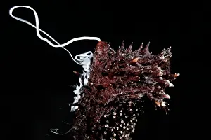 Echinoderm Prints: Black sea cucumber (Holothuria leucospilota) male
