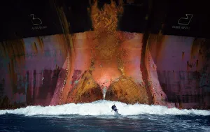 Bottlenose dolphin (Tursiops truncatus) playing in the waves of an oil tanker, Port Aransas, Texas, USA