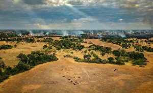 Southern Africa Gallery: A breeding herd of African savanna elephants (Loxodonta africana) navigates burning floodplains
